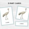 EU Birds Montessori Printable Flashcards. UK BIRDS Homeschool Materials. Nomenclature Watercolor three part cards.