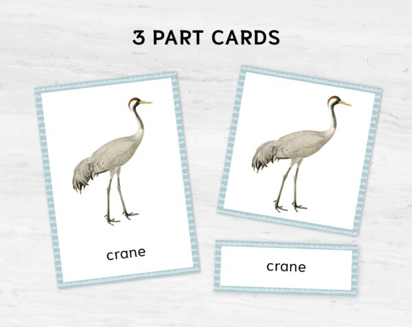 EU Birds Montessori Printable Flashcards. UK BIRDS Homeschool Materials. Nomenclature Watercolor three part cards.