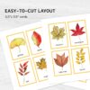 Fall Leaves Identification Cards printable. Montessori Educational Materials. Nomenclature Watercolor 3 part cards.