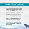 Farm Animal Sounds – QR Code Listening Activity | Montessori-Inspired Digital Learning Cards