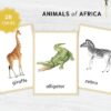 African Animal Flashcards Bundle - Nomenclature Learning Set - Homeschool Educational Tools - Watercolor Prints