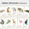 African Animal Flashcards Bundle - Nomenclature Learning Set - Homeschool Educational Tools - Watercolor Prints