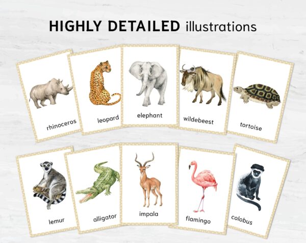 African Animal Flashcards Bundle - Nomenclature Learning Set - Homeschool Educational Tools - Watercolor Prints