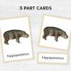 African Animal Flashcards Bundle - Nomenclature Learning Set - Homeschool Educational Tools - Watercolor Prints