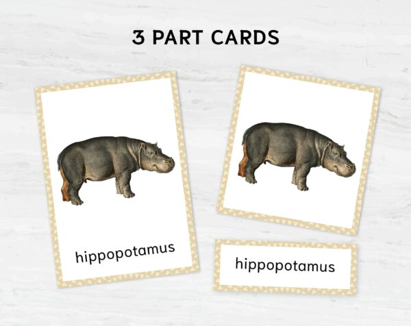 African Animal Flashcards Bundle - Nomenclature Learning Set - Homeschool Educational Tools - Watercolor Prints