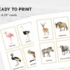 African Animal Flashcards Bundle - Nomenclature Learning Set - Homeschool Educational Tools - Watercolor Prints