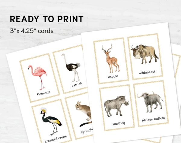 African Animal Flashcards Bundle - Nomenclature Learning Set - Homeschool Educational Tools - Watercolor Prints