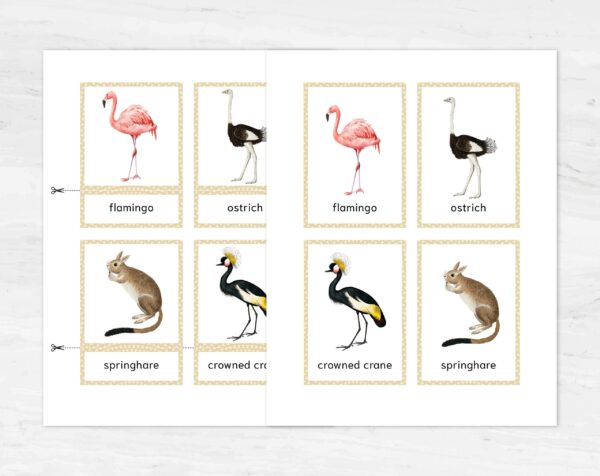 African Animal Flashcards Bundle - Nomenclature Learning Set - Homeschool Educational Tools - Watercolor Prints