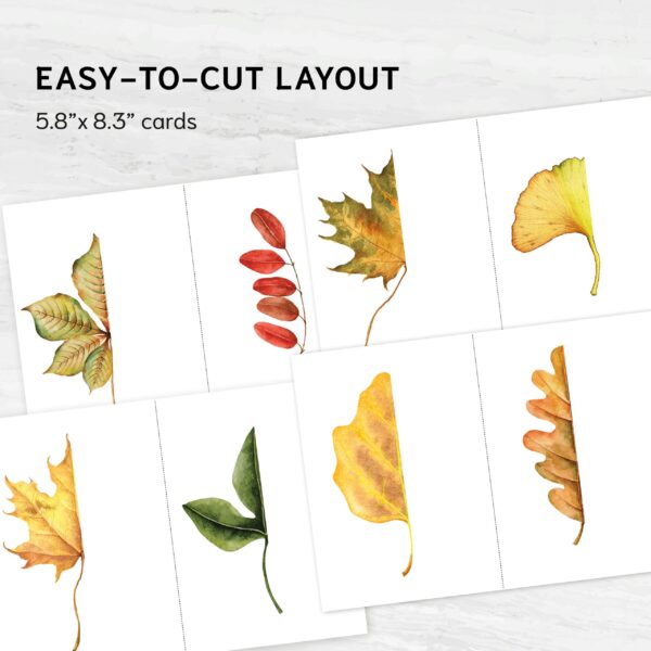 Autumn Leaf Symmetry Drawing Challenge for Kids. Fall leaves activity.