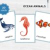Sea Animal Flashcards for Montessori Learning - Educational Homeschool Resource, Watercolor Nomenclature Cards