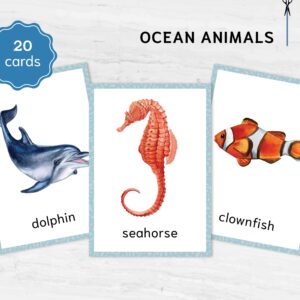 Sea Animal Flashcards for Montessori Learning - Educational Homeschool Resource, Watercolor Nomenclature Cards