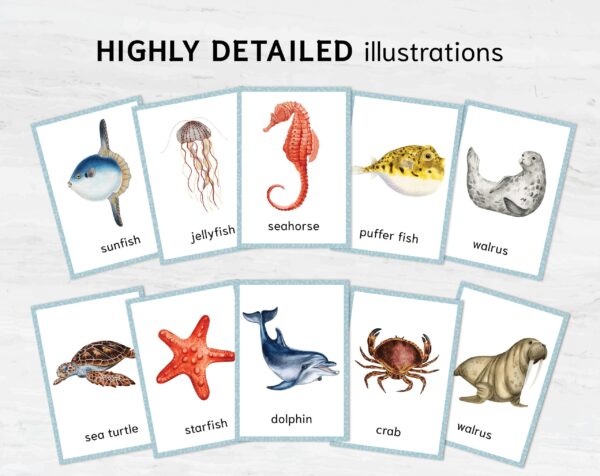 Sea Animal Flashcards for Montessori Learning - Educational Homeschool Resource, Watercolor Nomenclature Cards