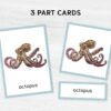 Sea Animal Flashcards for Montessori Learning - Educational Homeschool Resource, Watercolor Nomenclature Cards