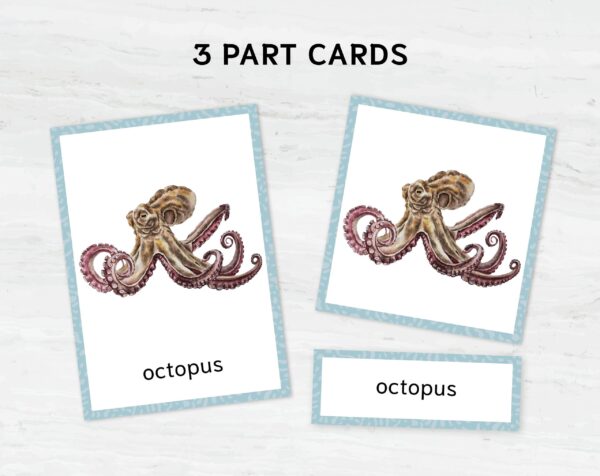 Sea Animal Flashcards for Montessori Learning - Educational Homeschool Resource, Watercolor Nomenclature Cards
