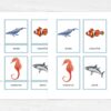 Sea Animal Flashcards for Montessori Learning - Educational Homeschool Resource, Watercolor Nomenclature Cards