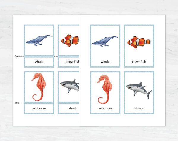Sea Animal Flashcards for Montessori Learning - Educational Homeschool Resource, Watercolor Nomenclature Cards