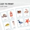 Sea Animal Flashcards for Montessori Learning - Educational Homeschool Resource, Watercolor Nomenclature Cards