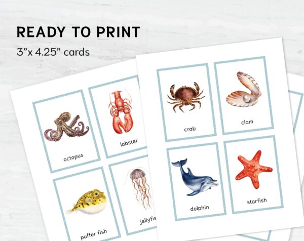 Sea Animal Flashcards for Montessori Learning - Educational Homeschool Resource, Watercolor Nomenclature Cards