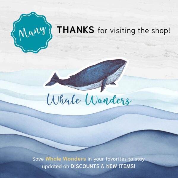 Sea Animal Flashcards for Montessori Learning - Educational Homeschool Resource, Watercolor Nomenclature Cards