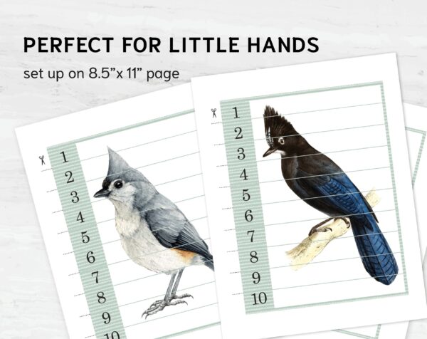 Birds Number Sequence Puzzle: Montessori Math Printable (PDF)