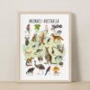 Animals of Australia Educational Poster – Watercolor Wildlife Map | Montessori & Homeschool Printable