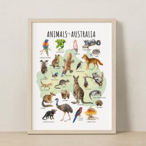 Animals of Australia Educational Poster – Watercolor Wildlife Map | Montessori & Homeschool Printable