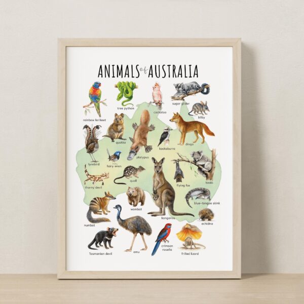 Animals of Australia Educational Poster – Watercolor Wildlife Map | Montessori & Homeschool Printable