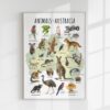 Animals of Australia Educational Poster – Watercolor Wildlife Map | Montessori & Homeschool Printable