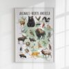 North American Animals Educational Poster – Watercolor Wildlife Map | Montessori & Homeschool Printable