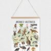 Animals of Australia Educational Poster – Watercolor Wildlife Map | Montessori & Homeschool Printable