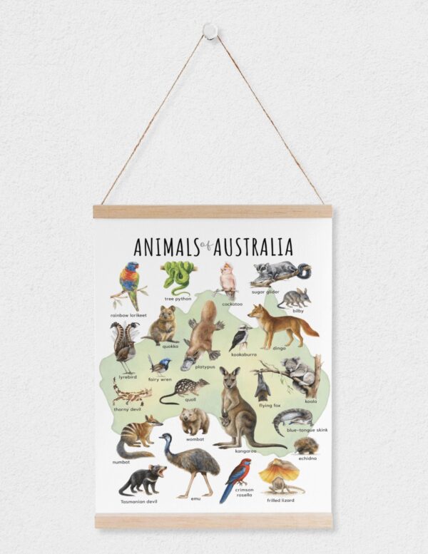 Animals of Australia Educational Poster – Watercolor Wildlife Map | Montessori & Homeschool Printable