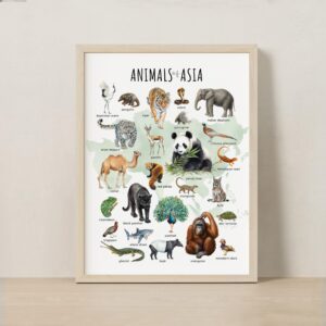 Asian Animals Educational Poster – Watercolor Wildlife Map | Montessori & Homeschool Printable