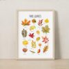 Fall Leaves Educational Poster – Watercolor Autumn Leaf Print | Seasonal & Nature Classroom Decor