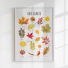 Fall Leaves Educational Poster – Watercolor Autumn Leaf Print | Seasonal & Nature Classroom Decor