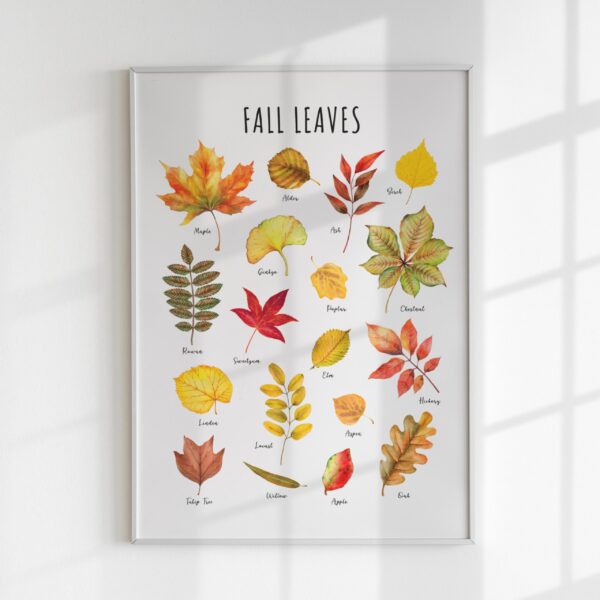 Fall Leaves Educational Poster – Watercolor Autumn Leaf Print | Seasonal & Nature Classroom Decor