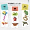 Animal Classification Sorting Cards. Printable Montessori Science Study. BONUS: 6 reference posters.