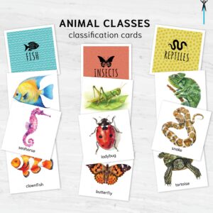Animal Classification Sorting Cards. Printable Montessori Science Study. BONUS: 6 reference posters.