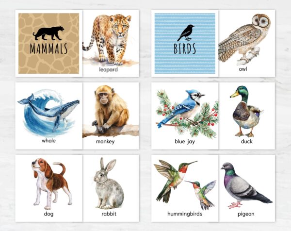 Animal Classification Sorting Cards. Printable Montessori Science Study. BONUS: 6 reference posters.