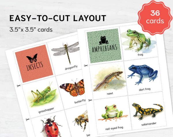 Animal Classification Sorting Cards. Printable Montessori Science Study. BONUS: 6 reference posters.