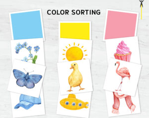 Montessori Color Sorting Matching Game: Toddler's 12-Color Recognition and Matching Activity Printable Set