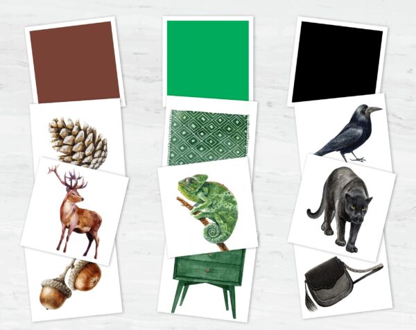 Montessori Color Sorting Matching Game: Toddler's 12-Color Recognition and Matching Activity Printable Set