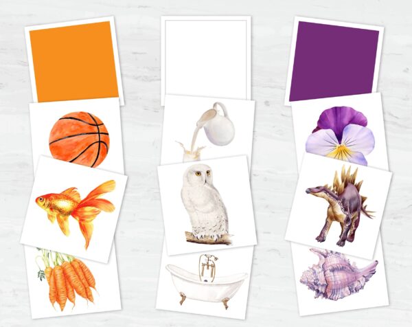 Montessori Color Sorting Matching Game: Toddler's 12-Color Recognition and Matching Activity Printable Set