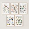 Animal Classification Educational Poster – Watercolor Prints for Kids, Classroom, Homeschool Learning (Set of 5)