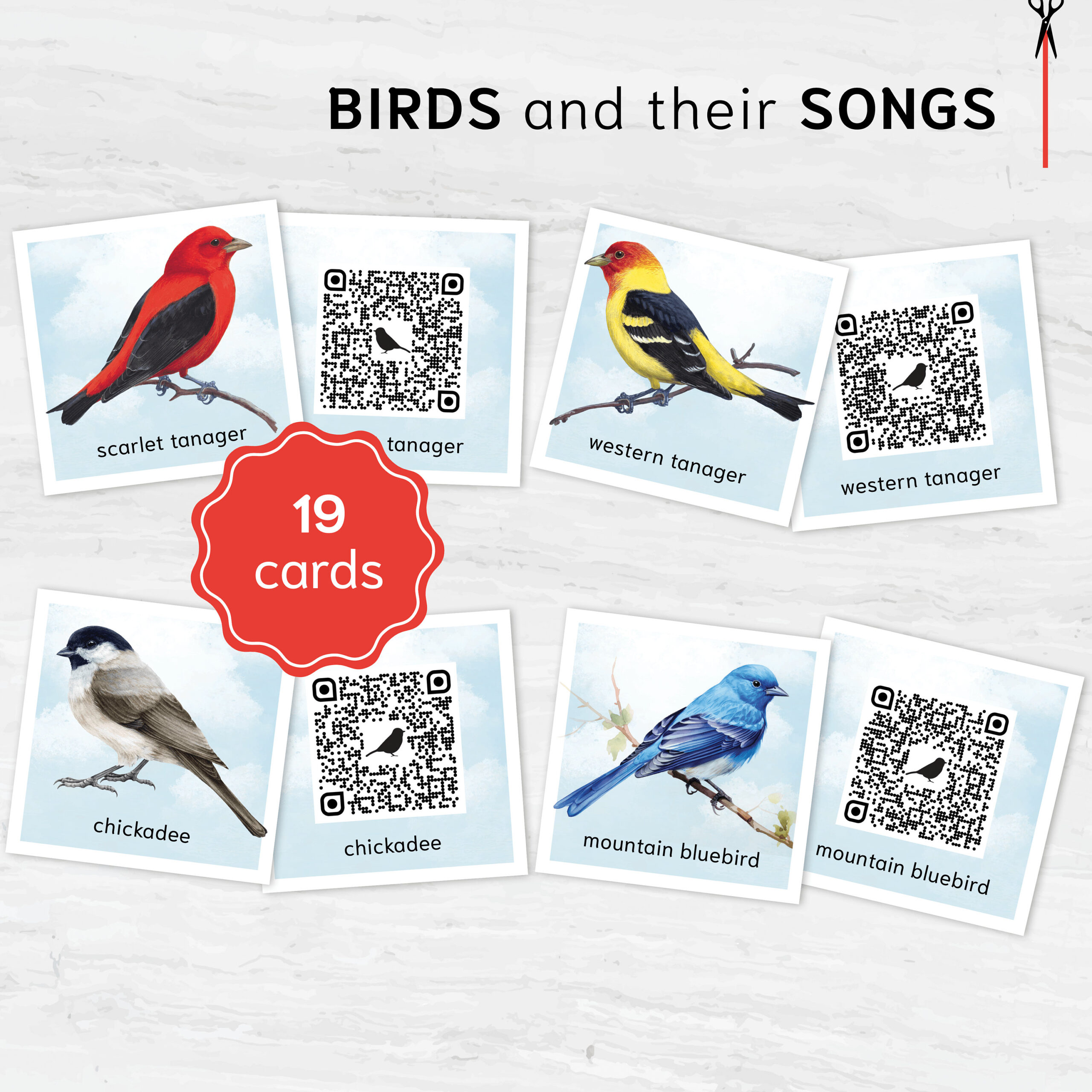 Birds Code Awog Bird Sounds. QR code listen & match activity. Identify Birds with ...