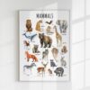 Animal Classification Educational Poster – Watercolor Prints for Kids, Classroom, Homeschool Learning (Set of 5)