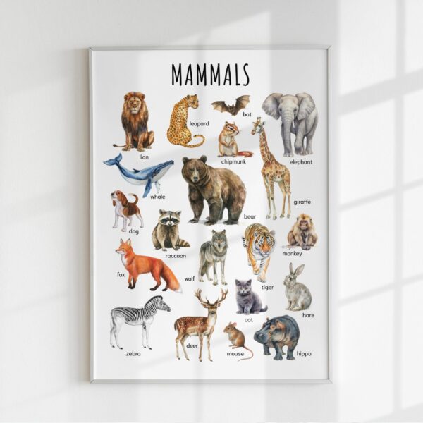 Animal Classification Educational Poster – Watercolor Prints for Kids, Classroom, Homeschool Learning (Set of 5)