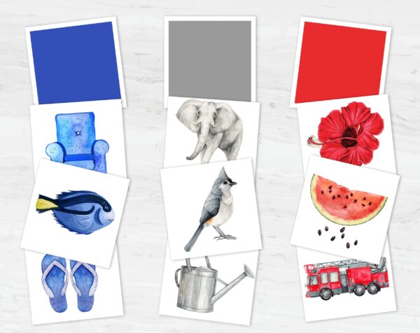 Montessori Color Sorting Matching Game: Toddler's 12-Color Recognition and Matching Activity Printable Set