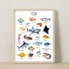 Animal Classification Educational Poster – Watercolor Prints for Kids, Classroom, Homeschool Learning (Set of 5)