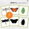 Insects shadow matching cards. Montessori-based bugs learning activity.