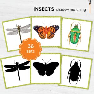 Insects shadow matching cards. Montessori-based bugs learning activity.